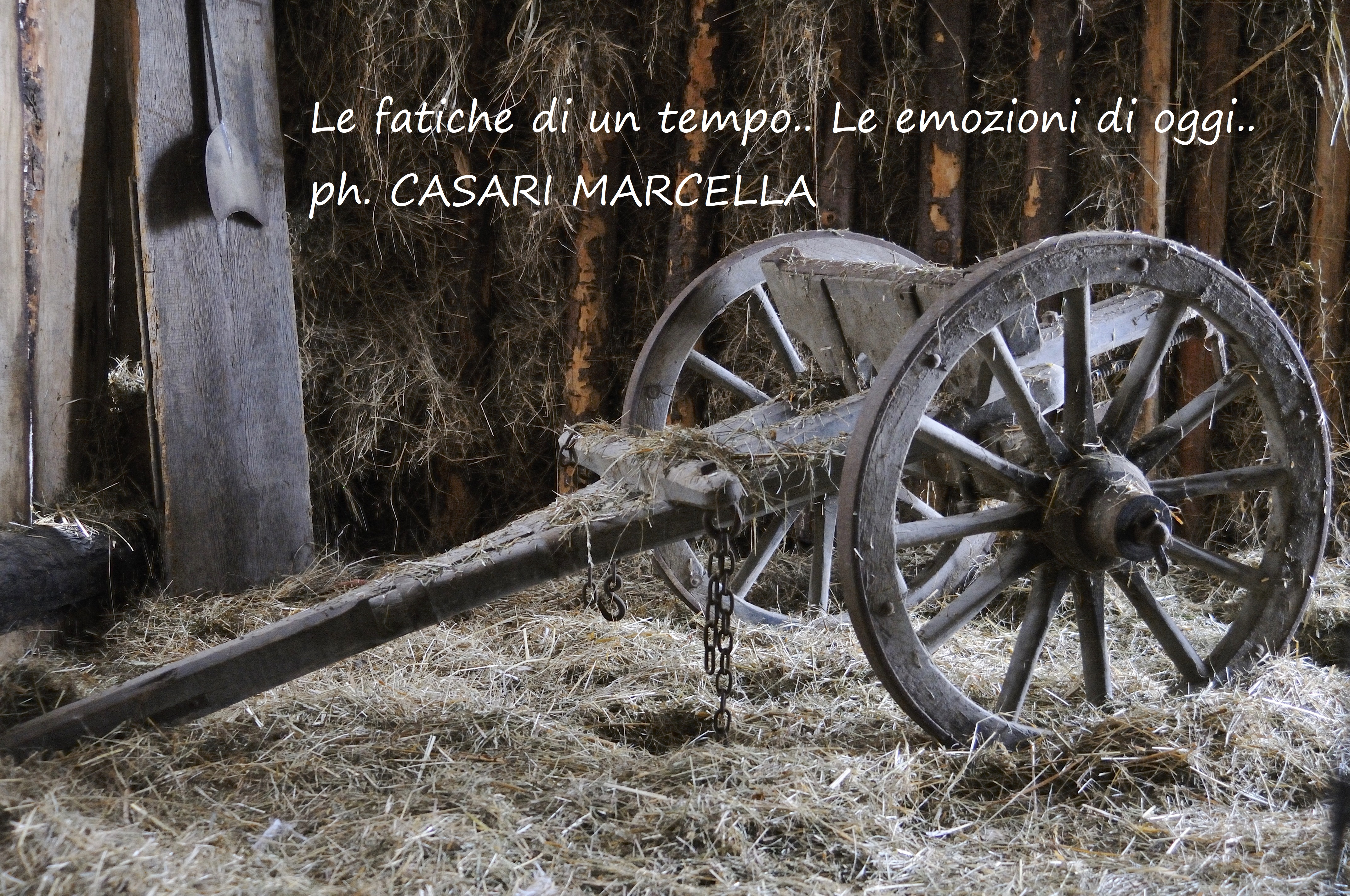 Casari Marcella Le fatiche di un tempo....L' emJPG