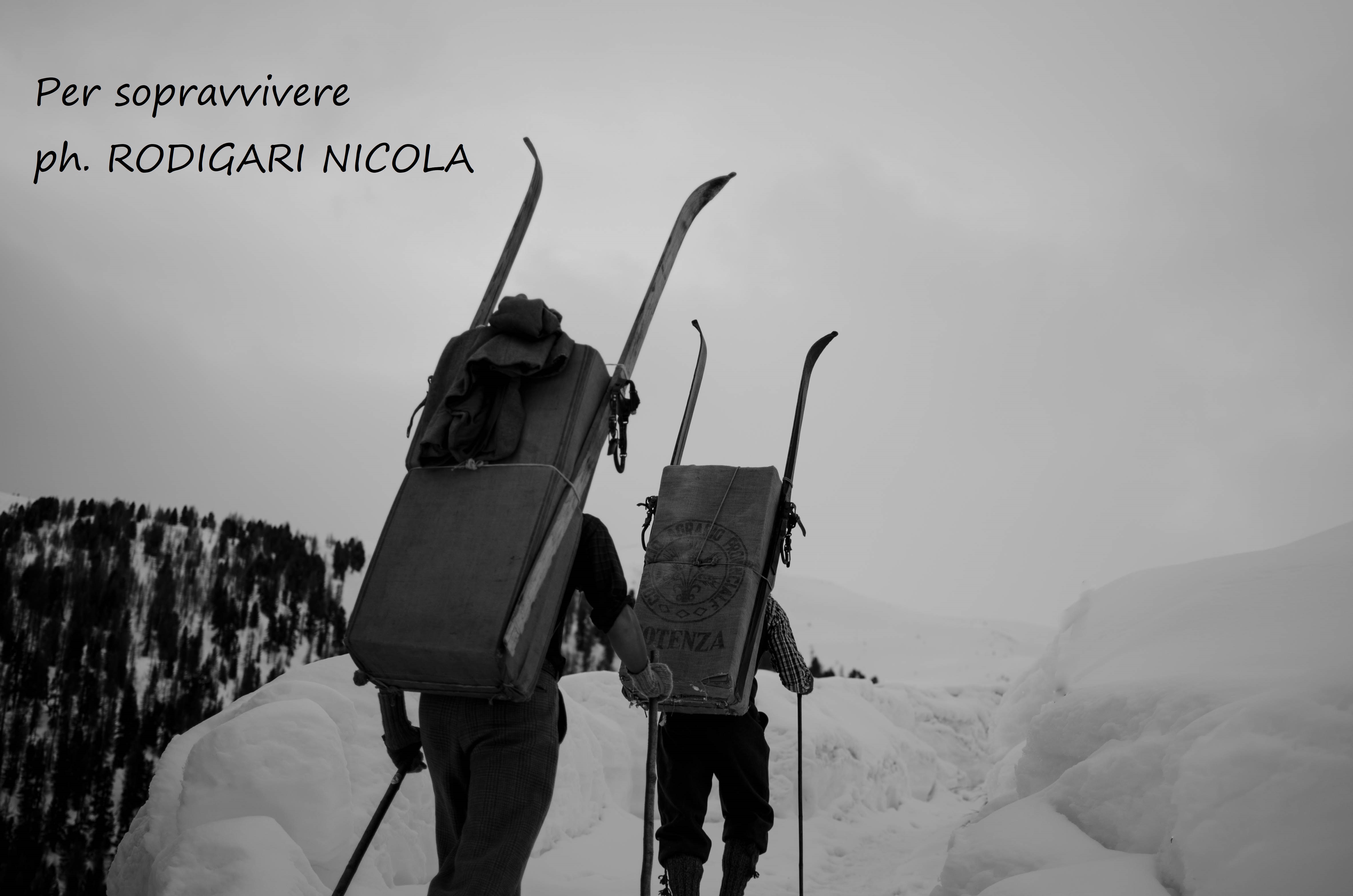 Rodigari Nicola_Per sopravvivere