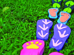 Animal Games – Valdisotto Montagna Animata