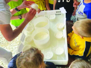 Mucca, Formaggio e Gelato | Valdisotto Montagna Animata
